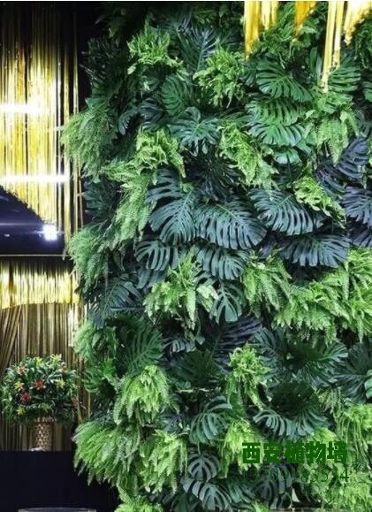 垂直绿化植物墙，颜值掩盖实力的生态装饰